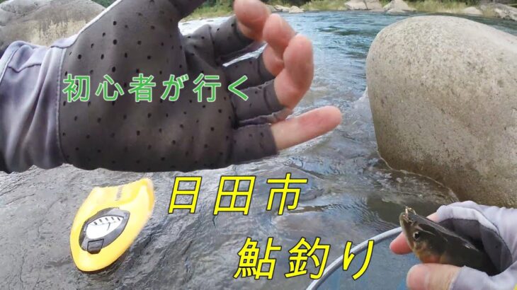初心者が行く日田の鮎の友釣り