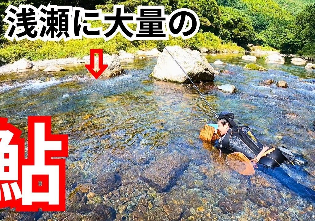 鮎釣り解禁！浅瀬の鮎を引っ掛ける
