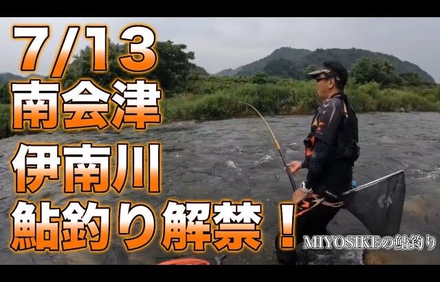 [鮎釣り]まっちゃっちゃ～の解禁しました。