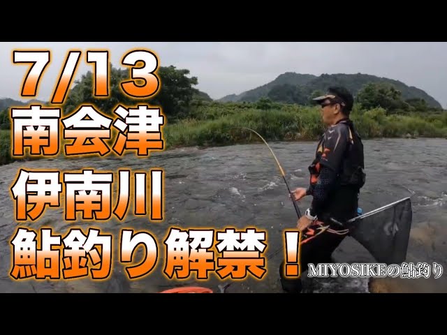 [鮎釣り]まっちゃっちゃ～の解禁しました。