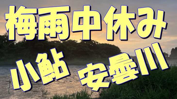 リベンジなるか！？安曇川で小鮎釣り
