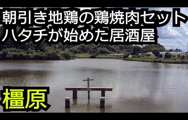 豪華な鶏焼肉ランチ＆牛タタキ鮎の塩焼きヒネモモ素揚げ【奈良 橿原市明日香村】