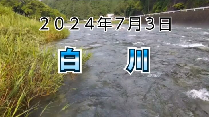 ２０２４年７月３日 白川　鮎釣り