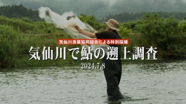 すみたホットライン：気仙川で「鮎の遡上調査」