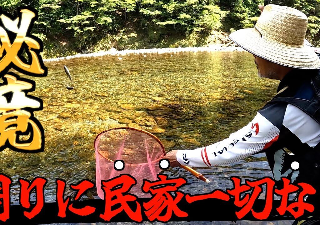 【源流の鮎釣り】周りでは熊、カモシカが生育している大自然の中での鮎釣りマイナスイオンバリバリの釣り場