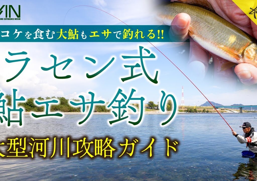 【大型の連発も可能!!】ラセン式 鮎エサ釣り 大型河川攻略ガイド｜引き味･食味ともに楽しめる夏〜晩秋の鮎釣りに注目!!