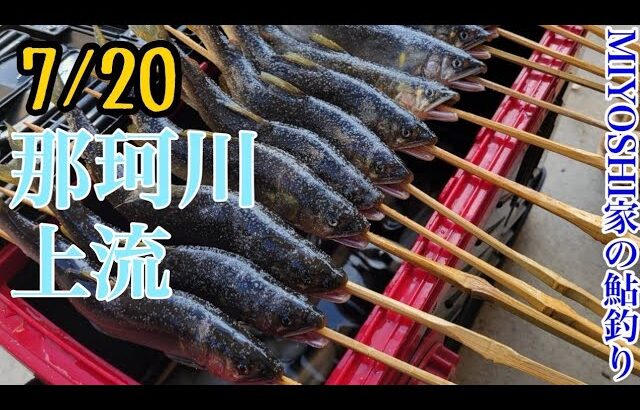 [鮎釣り]那珂川、暑い中頑張りました（笑）