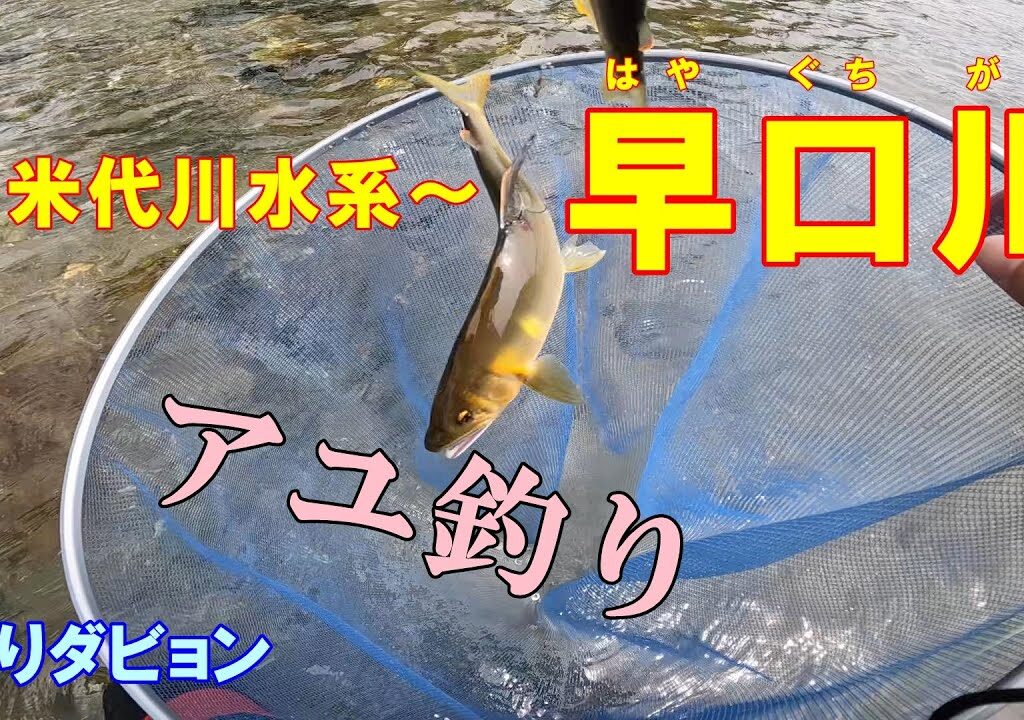【青森 鮎釣り】早口川に初めて挑む