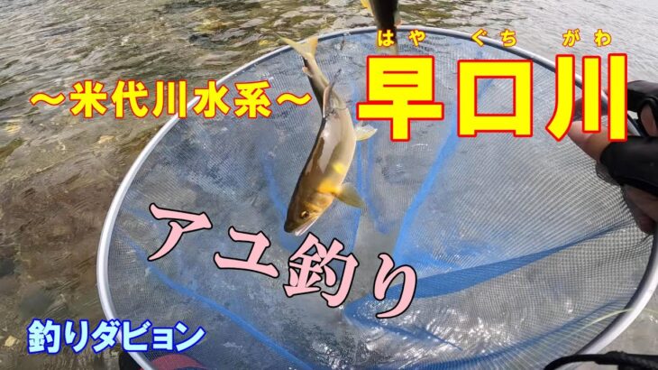 【青森 鮎釣り】早口川に初めて挑む