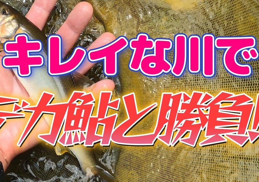 【鮎釣り】果てしなく遠い。古座川支流、滝の拝上流の鮎釣り。