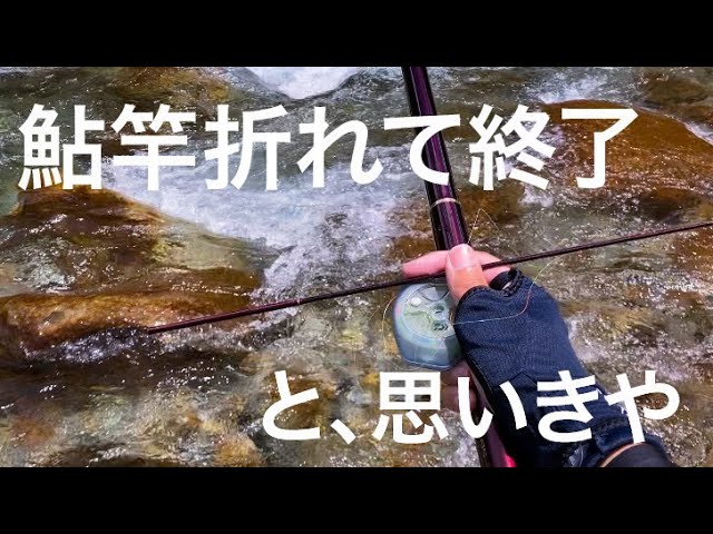 馬瀬川上流、鮎釣り【高い竿はこんなにも感度が違うの！！】
