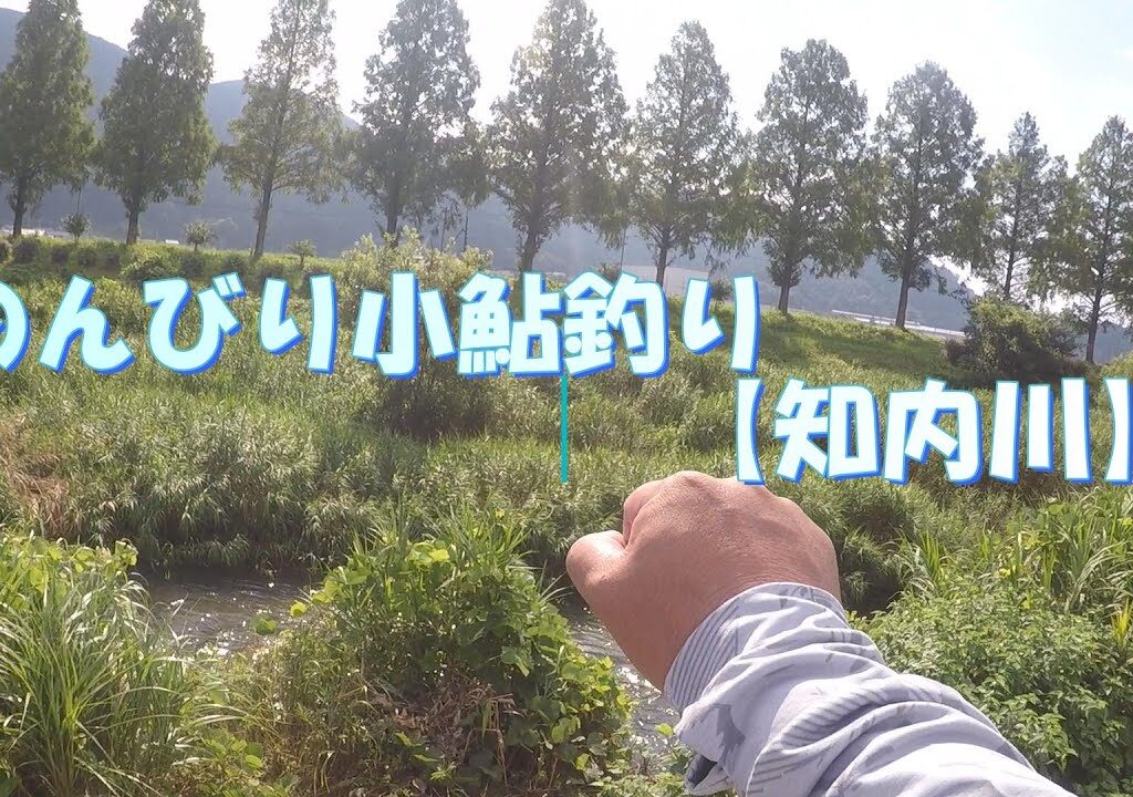 のんびり小鮎つり　【知内川】