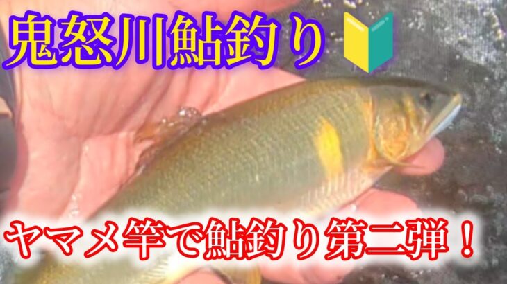 鬼怒川本流鮎釣り　バラシて切られてこの釣果w上手くなりた〜い！