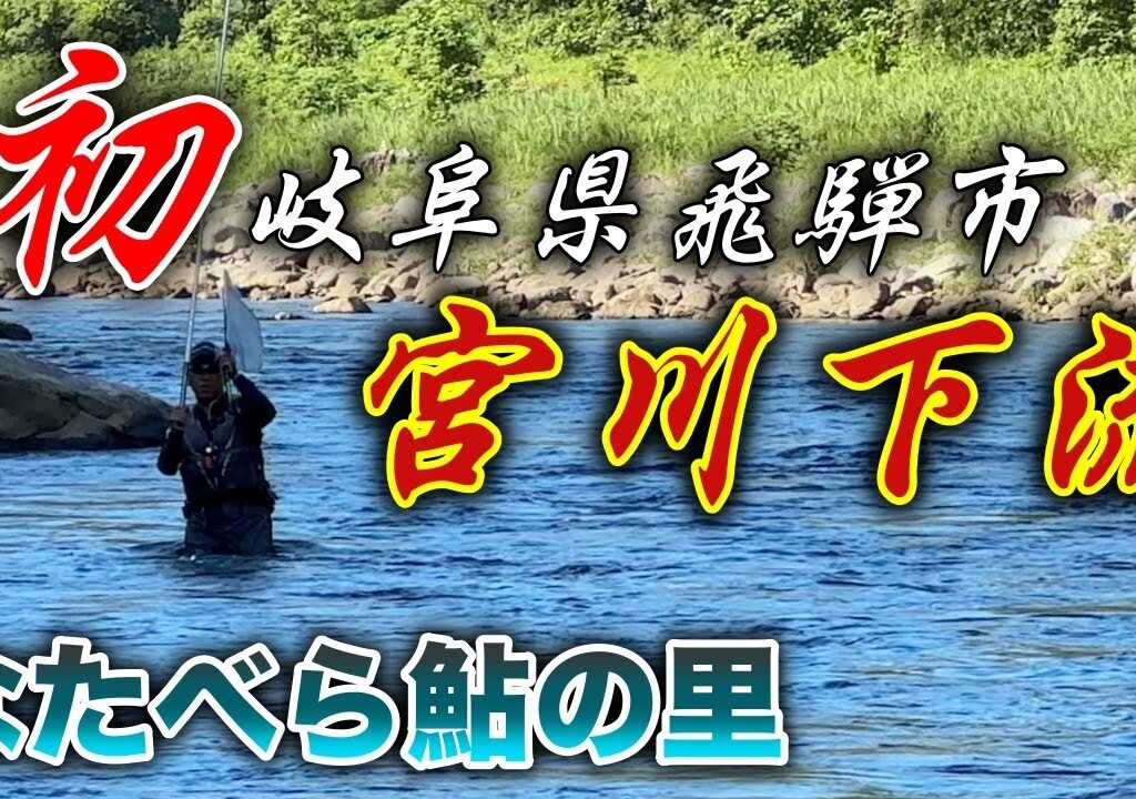 なたべら鮎の里の宮川下流で、湖産鮎に振り回された1日