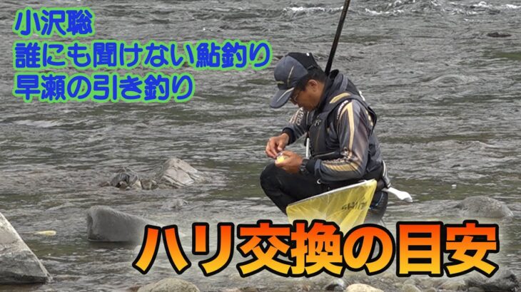 小沢聡 誰にも聞けない鮎釣り1 ハリ交換の目安