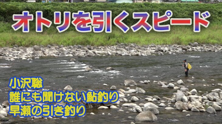 小沢聡 誰にも聞けない鮎釣り1 オトリを引くスピード