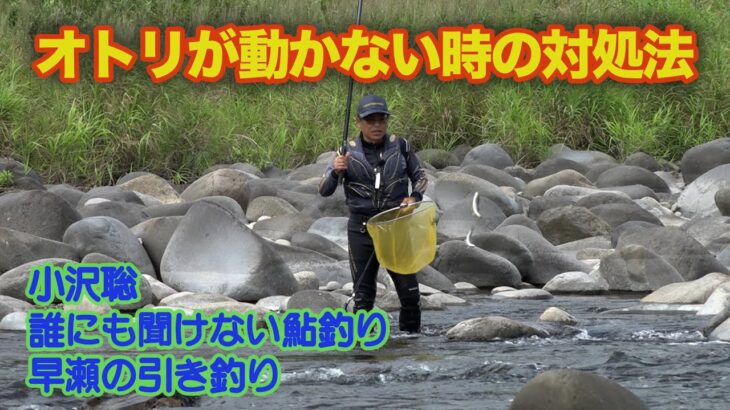 小沢聡 誰にも聞けない鮎釣り1 オトリが動かない時の対処法