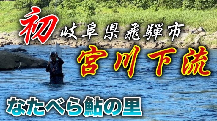 なたべら鮎の里の宮川下流で、湖産鮎に振り回された1日