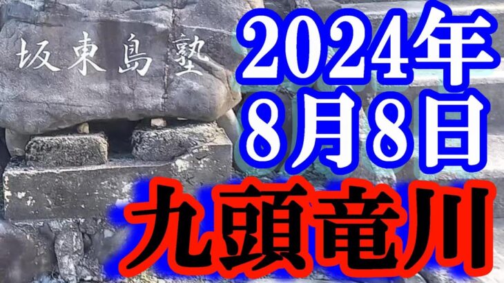 鮎釣り 10cm渇水垢良好 北島鮎大橋下 九頭竜川 2024年