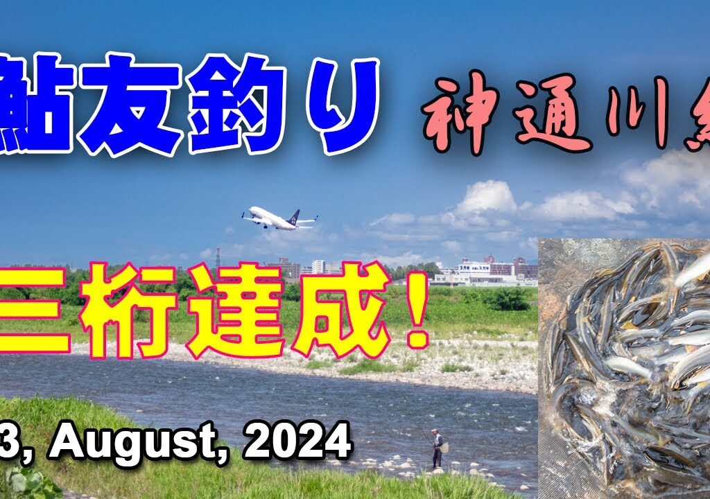 鮎友釣り　神通川編  13, August, 2024