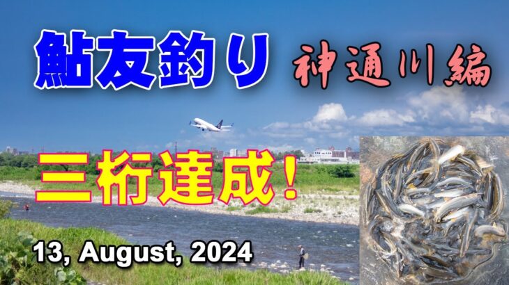 鮎友釣り　神通川編  13, August, 2024