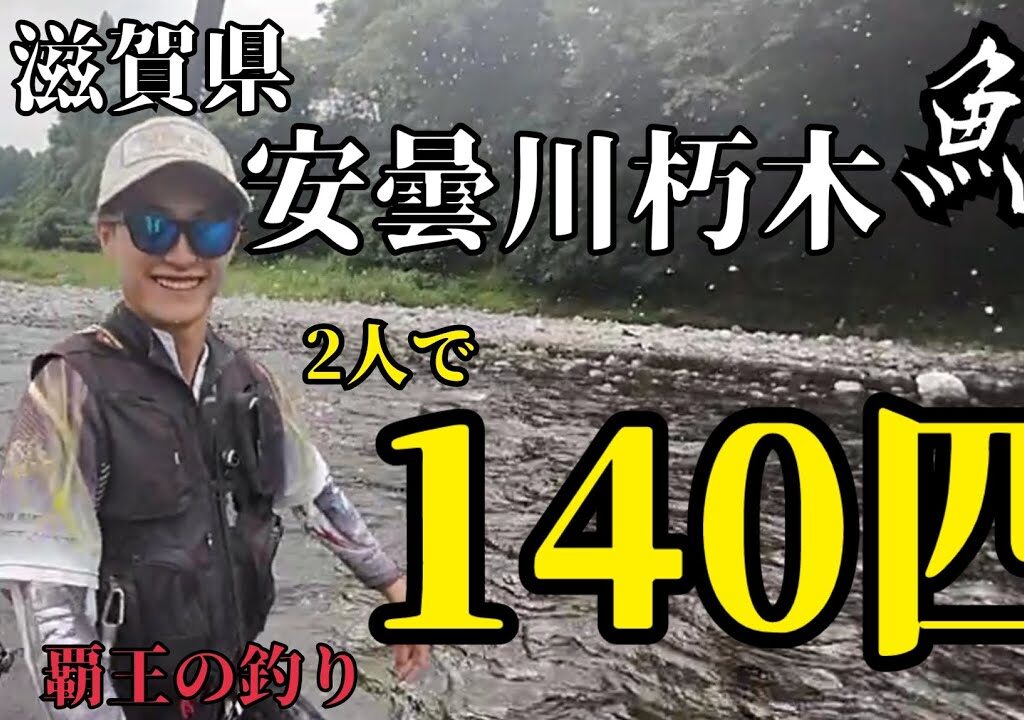 安曇川朽木なら釣れる！アユ140匹！