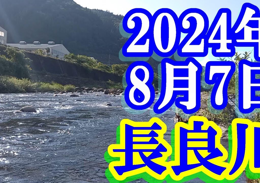 鮎釣り 高水温15cm渇水 名皿部橋上の石組堰堤下 長良川郡上 2024年