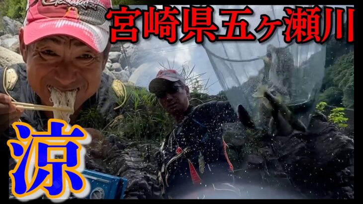 【涼】宮崎県五ヶ瀬川で2年ぶりの鮎掛けに行って癒されて来ました！