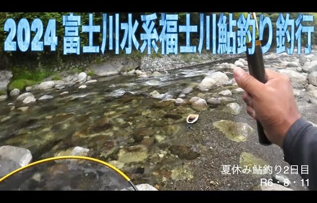 2024 富士川水系福士川鮎釣り釣行
