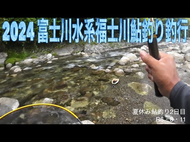 2024 富士川水系福士川鮎釣り釣行