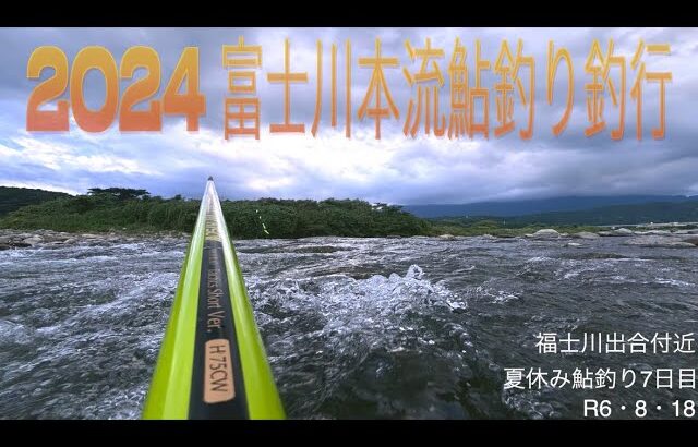 2024 富士川本流鮎釣り釣行
