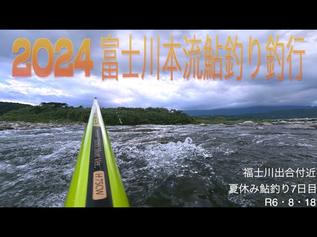 2024 富士川本流鮎釣り釣行