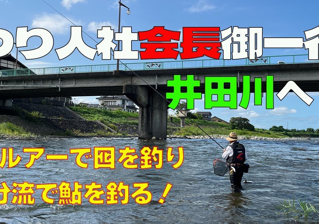2024【つり人社会長御一行】井田川へ！そして友ルアーで囮を釣り分流で鮎釣り！
