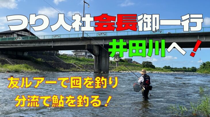 2024【つり人社会長御一行】井田川へ！そして友ルアーで囮を釣り分流で鮎釣り！