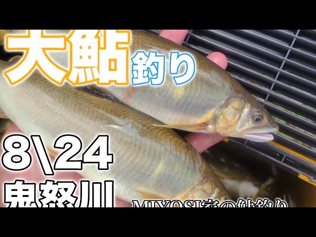 鮎釣り2024，鬼怒川