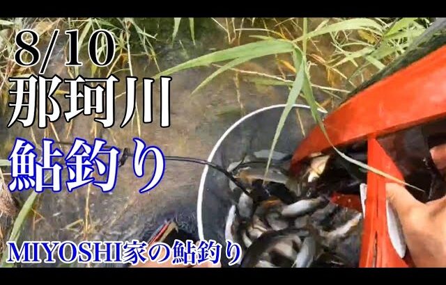[鮎釣り2024]那珂川は釣れます‼