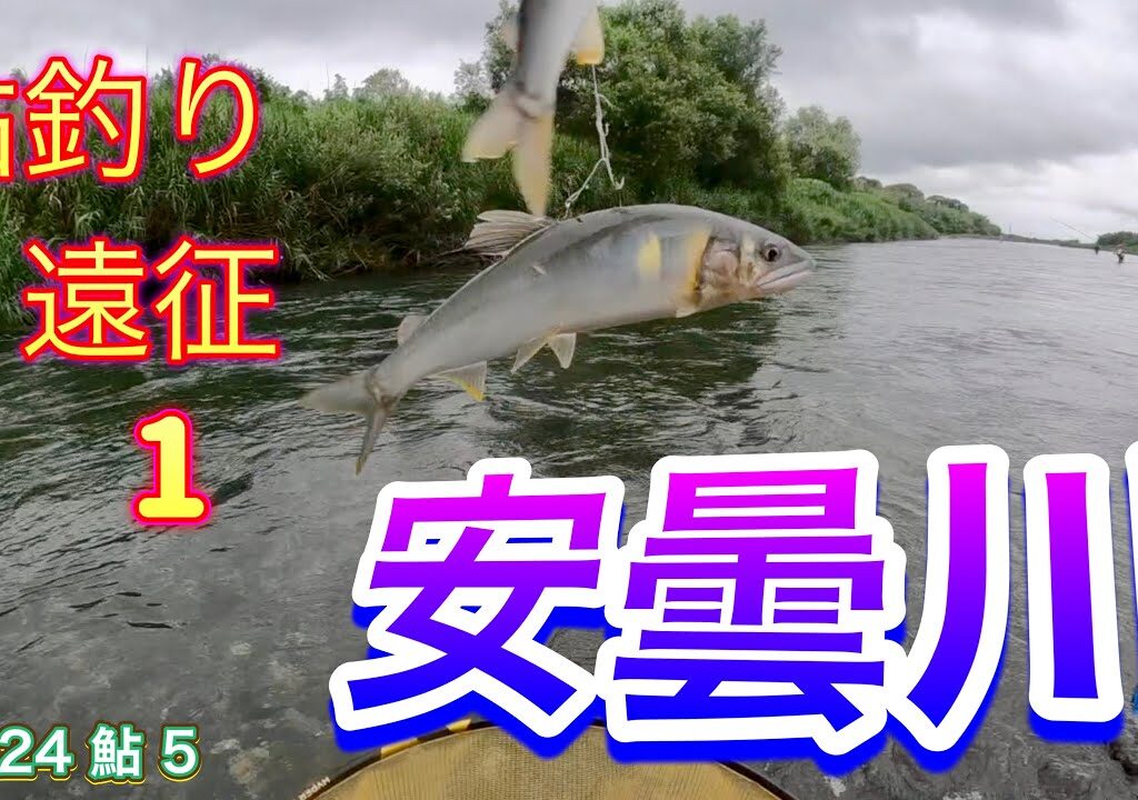 2024 鮎 5　鮎釣り遠征１　安曇川