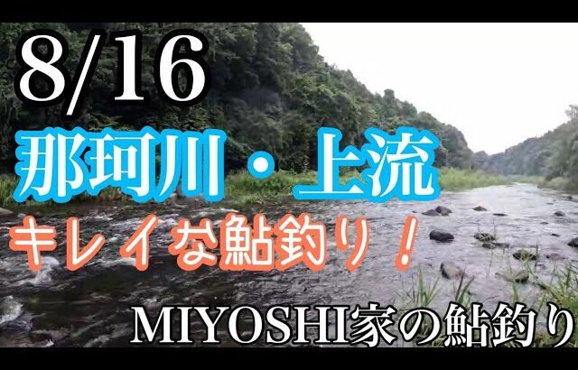 [鮎釣り2024]那珂川上流長男の入れ掛かり！