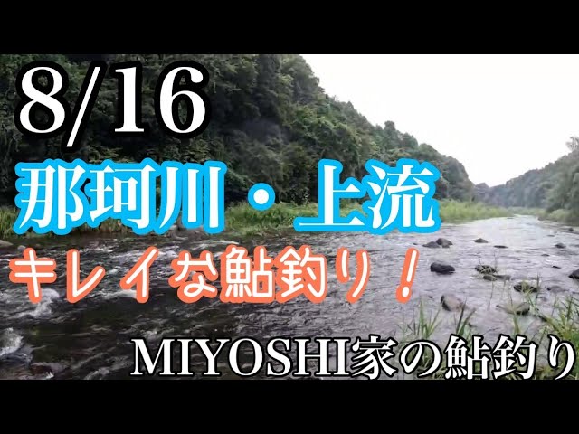 [鮎釣り2024]那珂川上流長男の入れ掛かり！