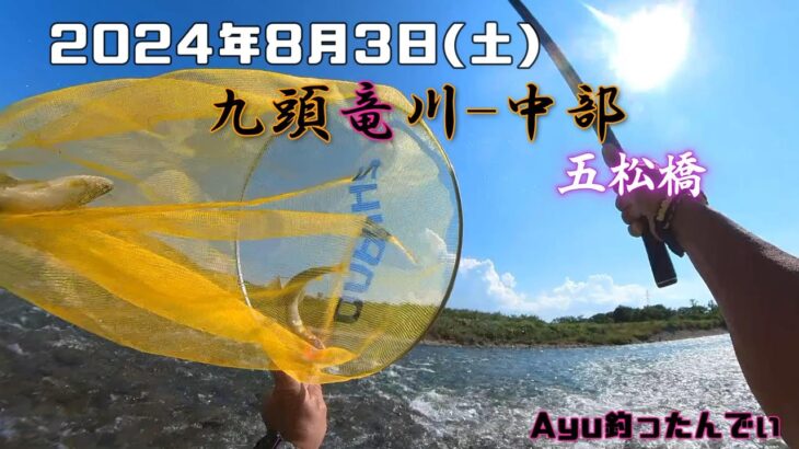 2024.08.03-九頭竜川 中部-入れ掛かり五松橋