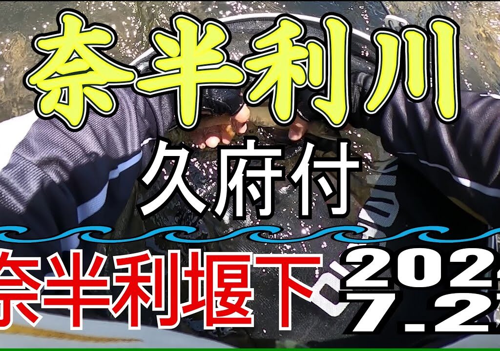 アユの友釣り 奈半利川(高知県) 久府付 2024.7.27