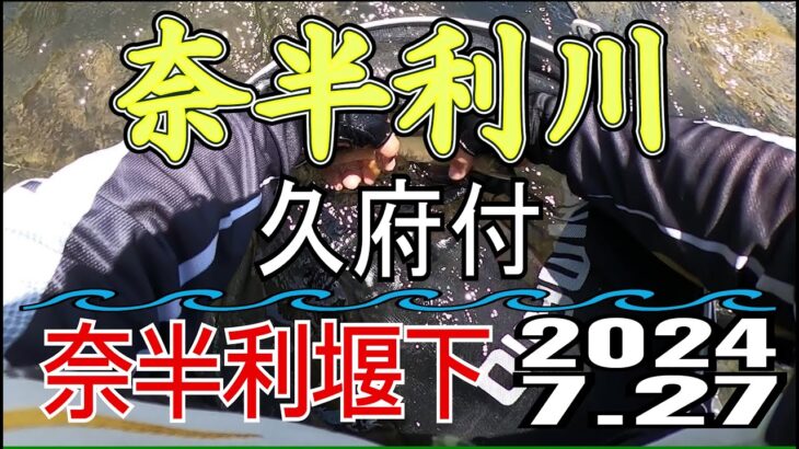 アユの友釣り 奈半利川(高知県) 久府付 2024.7.27