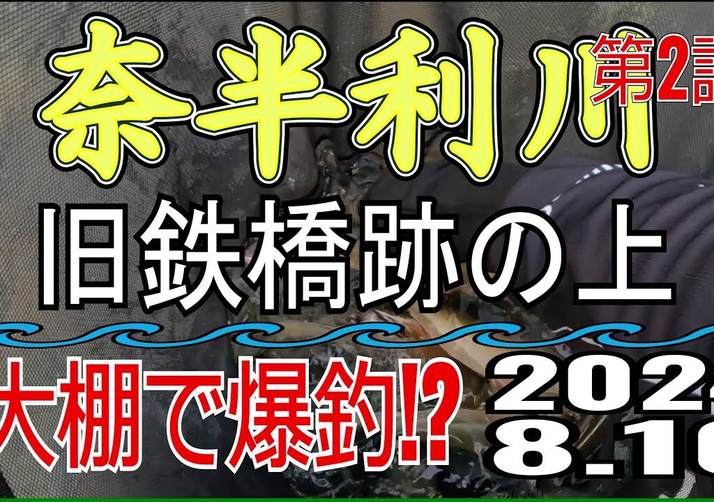 アユの友釣り 奈半利川(高知県) 旧鉄橋跡の上 2024.8.10 第2話