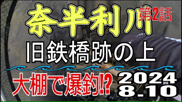 アユの友釣り 奈半利川(高知県) 旧鉄橋跡の上 2024.8.10 第2話