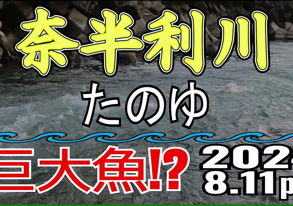 アユの友釣り 奈半利川(高知県) たのゆ 2024.8.11pm