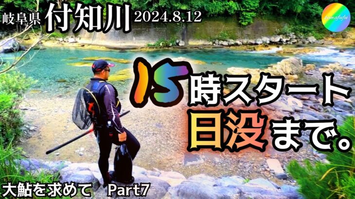 【鮎釣り】付知川（岐阜県）｜2024.8.12（月）【友釣り】