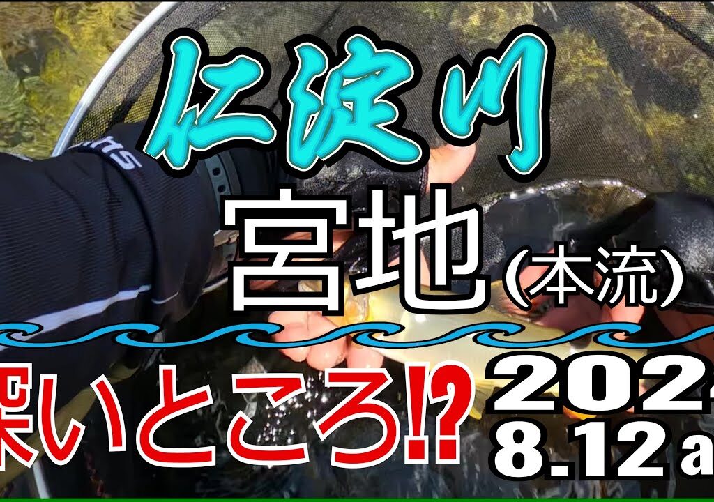アユの友釣り 仁淀川(高知県) 本流 宮地 2024.8.12am