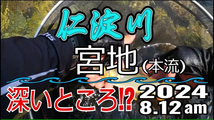 アユの友釣り 仁淀川(高知県) 本流 宮地 2024.8.12am