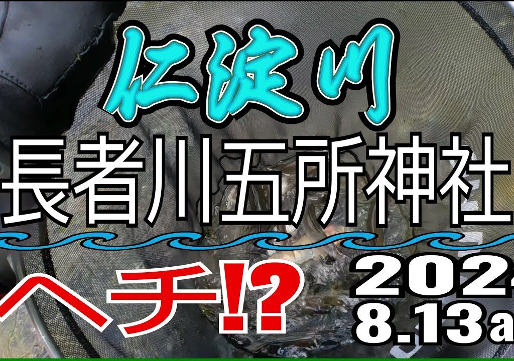 アユの友釣り 仁淀川(高知県) 長者川 五所神社 2024.8.13am