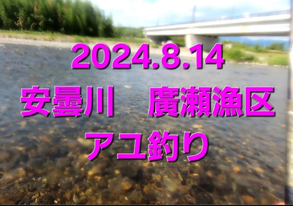 安曇川　廣瀬漁区　アユ釣り(2024.8.14) 短時間で釣りたくて。